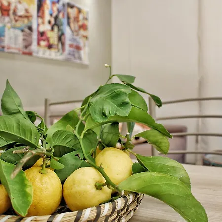 Vakantiehuis Flat 252 Sorrento